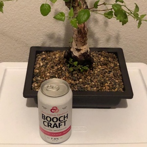Vente en gros de fournitures de jardin, pots et jardinières en plastique, bonsaï d'entraînement - Product Image 3