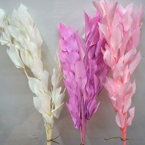 Vente en gros <span class=keywords><strong>bouquet</strong></span> de <span class=keywords><strong>fleurs</strong></span> <span class=keywords><strong>sèches</strong></span> naturelles fraîches conservées feuilles d'oranger fleur à tige séchée - Product Image 5