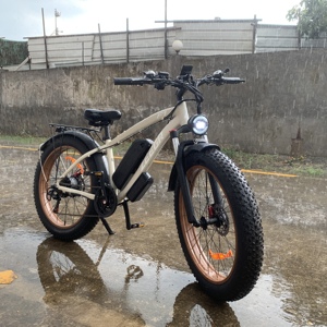 Bicicleta Eléctrica AWD de 1000W 48V con Neumáticos Anchos de 26 Pulgadas para Montaña y Nieve, Modelo F1 de Largo Alcance, Disponible en Almacén de EE. UU. - Product Image 4