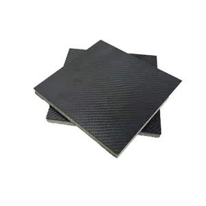 Lightweight Customized Honeycomb Carbon Fiber Board Silver Honeycomb Carbon Fiber Panels With Nomex Foam Pp Aluminum Core