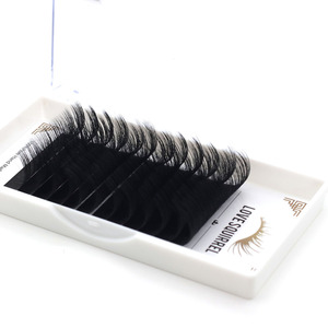 कस्टम असली मिंक व्यक्तिगत बरौनी विस्तार ट्रे शीतल झूठी व्यक्ति चाबुक एक्सटेंशन अर्द्ध स्थायी व्यक्तिगत नेत्र चलाओ - Product Image 4