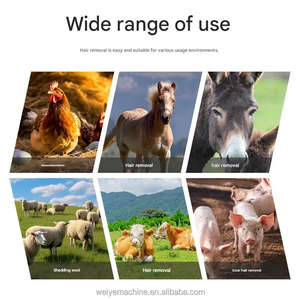 Lame de rasoir pour l'élimination des poils d'animaux, pour <span class=keywords><strong>boucherie</strong></span> porcine, poulet, bétail, mouton, disque grattoir broyeur de poils de porc à 5 vitesses - Product Image 3