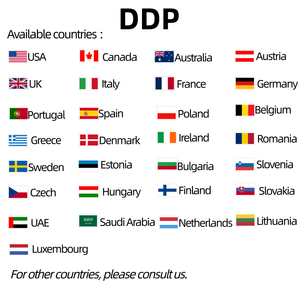 Miglior Agente di Spedizione DDP DDU con Servizio di Sdoganamento Incluso, Trasporto Merci verso Francia/<span class=keywords><strong>Germania</strong></span>/<span class=keywords><strong>Messico</strong></span>/America/USA FBA - Product Image 2