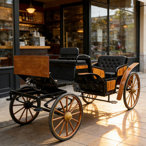 Carruaje Real de Caballos, Carruaje de Lujo para Bodas, Alquiler de Carruaje de Caballos Estilo Cenicienta para Celebraciones en Parques - Product Image 4