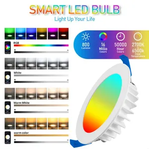 Yüksek kaliteli döküm 12W WIFI Bluetooth Zigbee süper ince tasarım harici sürücü Alexa Google ses kontrolü uzaktan kumanda