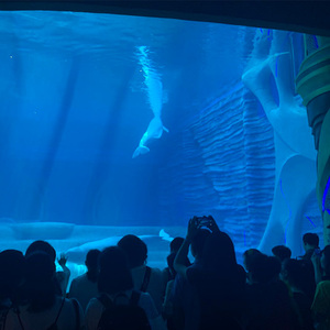 Fabrieksgemaakte, nieuwe stijl, onregelmatige, milieuvriendelijke, transparante, cilindrische, grote <span class=keywords><strong>aquarium</strong></span> van acrylplastic - Product Image 3