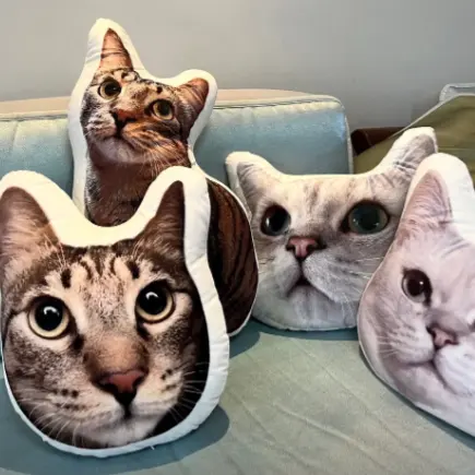 Personalizado Impresso Forma Travesseiro Artesanal Irregular Anime Forma Lance Almofadas Animal Travesseiro De Pelúcia Dia das Crianças Presente