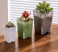 Nouveau design, pot de fleurs carré en plastique transparent et coloré de 5 cm, épaissi, écologique, pour semis de jardin CAIJUN SJ-090