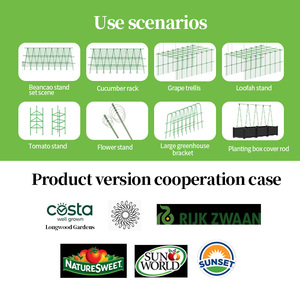 <span class=keywords><strong>Support</strong></span> de <span class=keywords><strong>plante</strong></span> grimpante en plastique robuste et léger, conception à encliquetage facile pour raisin, concombre et tomate - Product Image 5