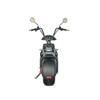 Moto électrique haute performance 1500 W pour adultes, deux roues, 60 V, cadre en acier, moteur à moyeu arrière à capteur, vente en gros