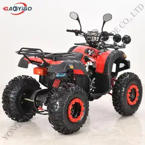 رائجة المبيع دراجة بخارية ATVs 4x2 تعمل بالوقود إصدار ثاني أفضل دراجة رباعية للبالغين atv 250cc