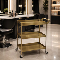 Chariot de rangement de salon en acier inoxydable à 3 niveaux, 4 roues, argenté, écologique, design minimaliste, pour salons et hôtels (vente en gros)