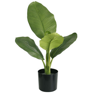 52cm moderne Design oriental artificiel grand <span class=keywords><strong>bananier</strong></span> en fibre de verre palmier intérieur/extérieur pour la décoration de fête de mariage de bureau - Product Image 1