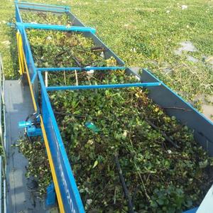 Fabricante Chinês Fornecedor de Plantas Aquáticas para Rios e Lagos, Barco Cortador de Grama - Product Image 4