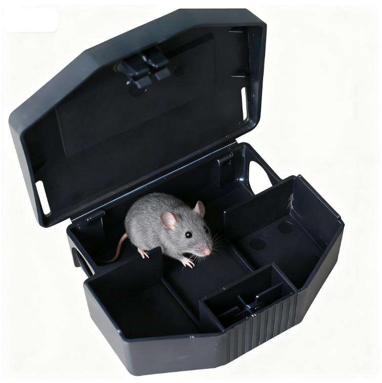 Rodent Boxes Humane and Reusable Pest Control Solutions