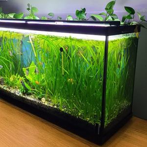 Reemplazo de bombilla de espectro completo T8, luces de <span class=keywords><strong>cultivo</strong></span> hidropónico, luces de 120cm, plantas acuáticas cultivadas <span class=keywords><strong>para</strong></span> <span class=keywords><strong>cultivo</strong></span> de semillas - Product Image 3