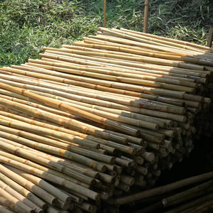 Varas de Bambú Tam Vong de Alta Calidad, Fuertes y Flexibles, Estacas de Bambú Natural para Agricultura, Jardinería y Soporte de Plantas, Venta al Por Mayor - Product Image 1