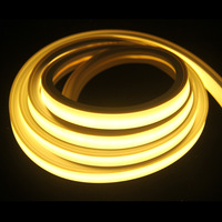 Bande lumineuse LED néon flexible en silicone à éclairage frontal 1010, DC 24V, IP67, couleur unique, pour usage intérieur et extérieur