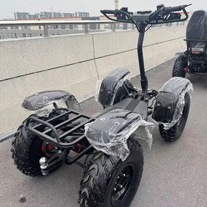 Scooter électrique à 4 roues, véhicule utilitaire pour <span class=keywords><strong>la</strong></span> ferme, le <span class=keywords><strong>camping</strong></span> et les voyages en plein air, scooter électrique à 4 roues, tout-terrain robuste - Product Image 2