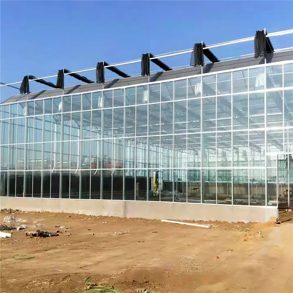 Prefab Steel Frame Metal Building Steel Structure Green House glass Construction