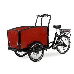 250瓦电机电动三轮车复古货运自行车荷兰自行车带辅助电机