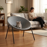 Chaise en feutre moderne pour salon, bureau, décoration de la maison, avec pieds en fer, empilable, couleurs personnalisables, mobilier de bureau