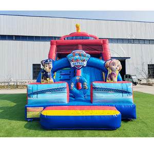 Château Gonflable Combo de Dessins Animés avec Toboggan Humide/Sec pour Parc d'Attractions - Product Image 3
