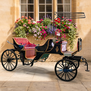 Calèche royale de luxe à quatre roues en structure acier pour 5-6 personnes, véhicule de tourisme électrique/à traction équine - Product Image 1