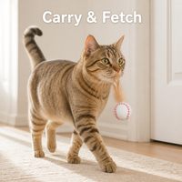 Balle de jeu interactive pour animaux de compagnie en caoutchouc plumeux, forme de ballon de football, de baseball ou de basketball, pour le jeu en intérieur