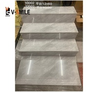 Motif de marbre pour escalier et élévation, carrelage d'escalier, aspect marbre, pas avec rainure, carrelage nasal