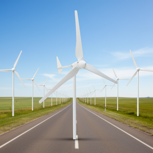 Turbina Eolica Luvorb2kw, <span class=keywords><strong>Prezzo</strong></span> Generatore <span class=keywords><strong>Eolico</strong></span> <span class=keywords><strong>Domestico</strong></span> HAWT 3kw 5kw, Energia Ibrida Solare per un'Alimentazione Elettrica Stabile - Product Image 6