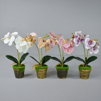 Phalaenopsis Bonsaï Artificiel en Soie – Décoration pour Salon, Table Basse, Entrée, Comptoir de Café