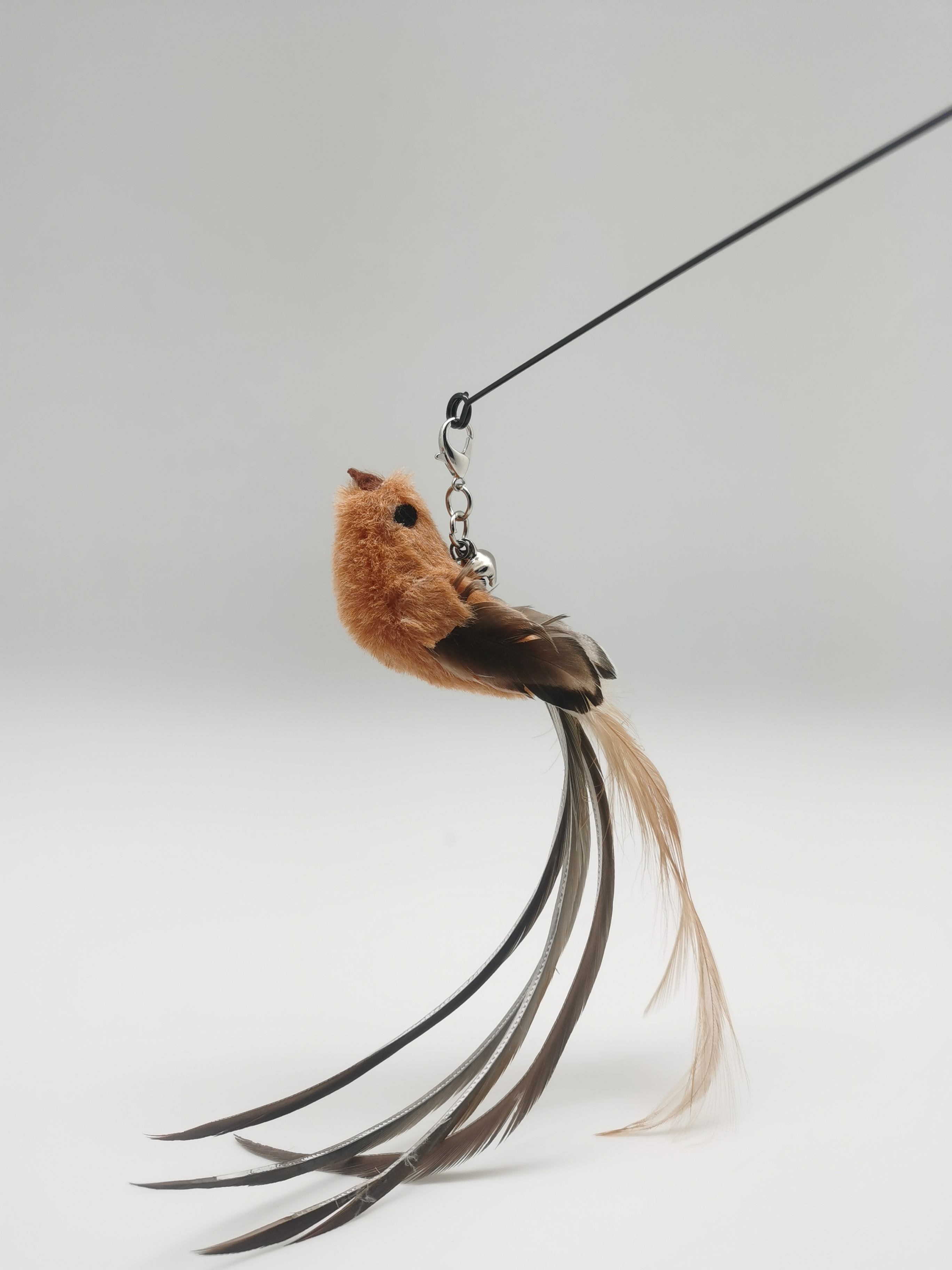 bird replacement head