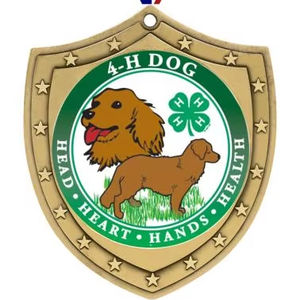 Nobile classico <span class=keywords><strong>scudo</strong></span> con inserti rotondi medaglie cani carino moda Custom cane medaglia di metallo con nastro - Product Image 1