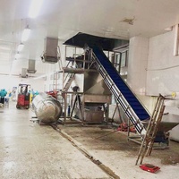 10Ton Per Uur Automatische Grootschalige Druk Stoomschiller Aardappel Stoomschilmachine Stoomschiller Voor Perzik