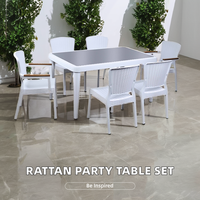 Ensemble de fauteuils blancs en rotin royal en plastique