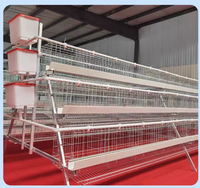 Nouvelle cage à batterie automatique de type A en acier U-best pour poules pondeuses et cailles, avec une longue durée de vie, utilisation en ferme, garantie 1 an