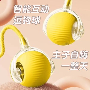 Jouet interactif intelligent rechargeable pour chats et chiens avec fonction de charge USB et d'évitement d'obstacles - Product Image 2