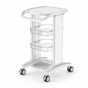 Beauty Equipment Trolley Rack Specialized Storage Rack for Beauty Salons High-end New Dental and Oral Trolley - Product Image 2