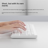 Keyboard Mekanik Profil Rendah 101-Tombol H75 Grosir, Nirkabel untuk PS/2, Mode Ganda Berkabel, Siap Pakai di Kantor, Portabel
