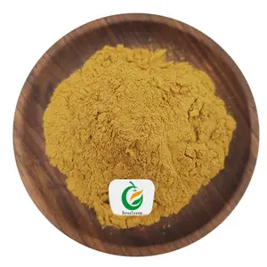 Free Sample High Quality Natural Blue Vervain Extract