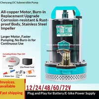 Pompe submersible agricole en acier inoxydable 48V DC ; 12V/48V/60V haute performance pour véhicules électriques et usage domestique