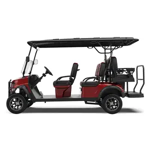 Seater Electric Golf Push Cart Cheap Wholesale Custom Street Legal Lifted Rent 2 4 6 CE 48V Race Car 3m