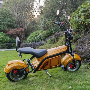 Scooter <span class=keywords><strong>électrique</strong></span> Citycoco à deux roues, 3000W, avec logo imprimé, pour adultes, grand <span class=keywords><strong>pneu</strong></span> - Product Image 1