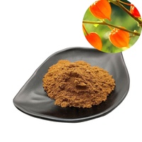 Poudre d'extrait d'ashwagandha de haute qualité ashwagandha kapseln Vente en gros à bon prix