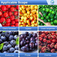 Trieuse et calibreuse de fruits OCEAN pour myrtilles, oranges, petites olives et tomates