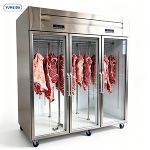 <span class=keywords><strong>Vitrina</strong></span> Refrigerada Premium para Exhibición de Carne, con Puerta de Vidrio Comercial y Termostato Digital, para Restaurantes, Hoteles y Carnicerías - Product Image 4
