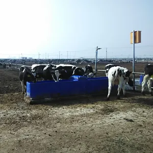 Équipement d'élevage efficace et abordable: abreuvoirs de 4m avec tarification directe d'usine pour une agriculture optimale