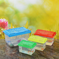 Fabricant en gros de petits et moyens aquariums portables fermés transparents, aquariums pour tortues, boîtes pour animaux de compagnie, boîtes d'élevage de reptiles