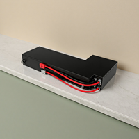 Pack de batteries LiFePO4 personnalisé 12V-1000V 10Ah-1000Ah, qualité industrielle, batterie de stockage au lithium multi-scénarios